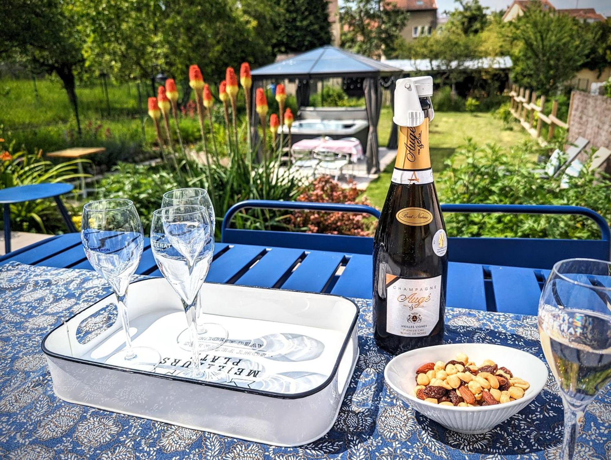 Le Cemarose: Spa, Jardin, Terrasse Et Jolie Vue Au Coeur D'إيبيرني المظهر الخارجي الصورة